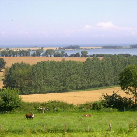 Ferienwohnungen Und Ferienhaus Im Nixenweg Ховахт Экстерьер фото